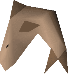 5K Sharks