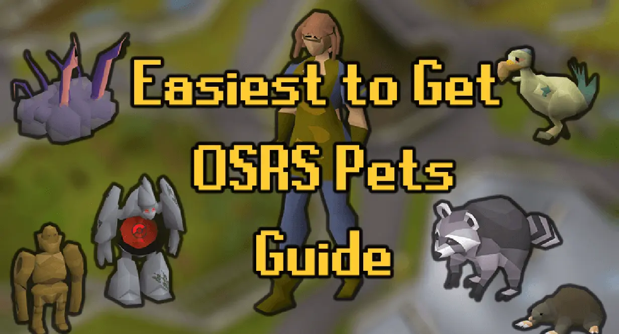 7 Easiest Pets To Get On OSRS