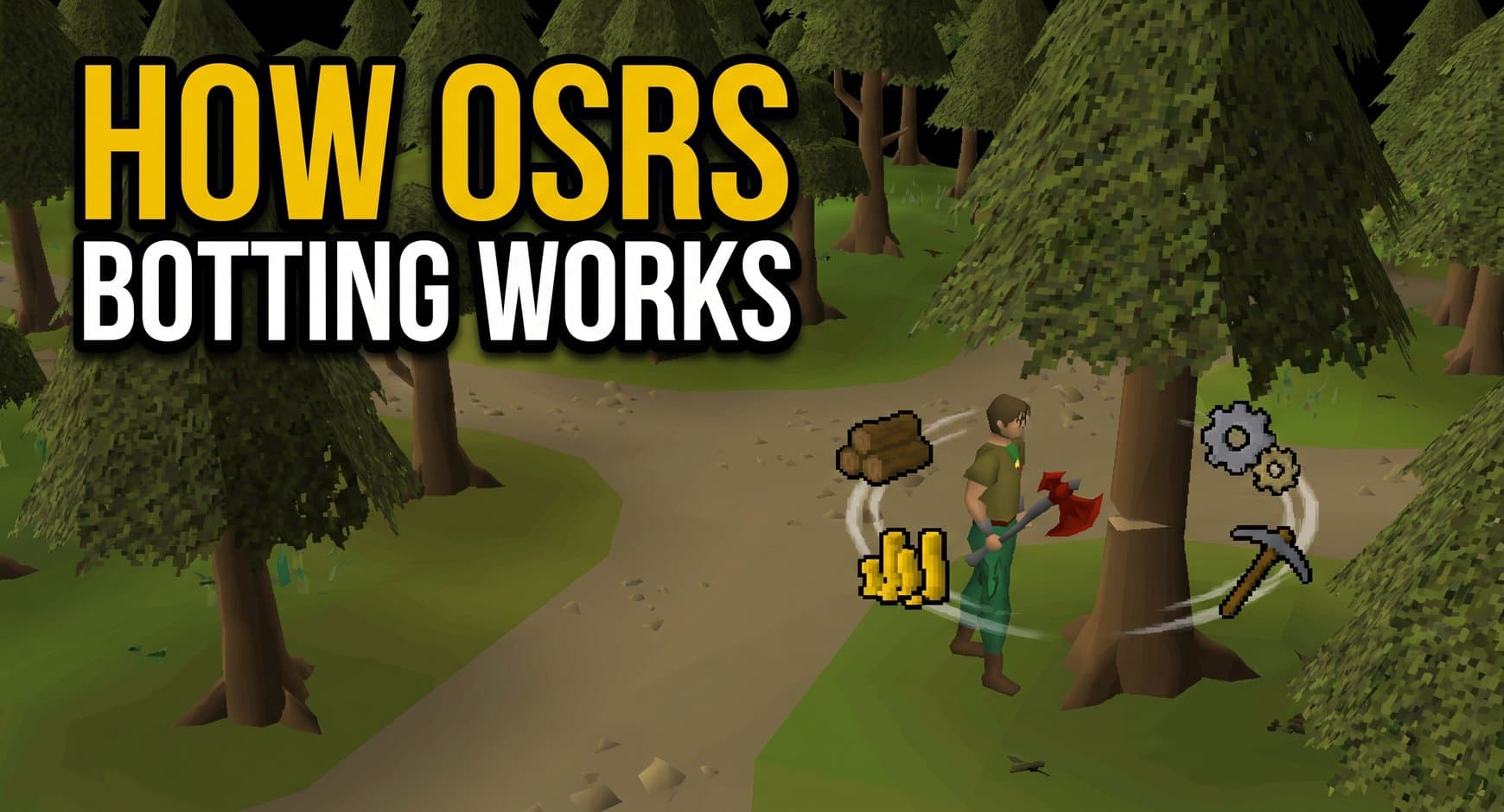 Old School RuneScape Botting | Types Of OSRS Bots